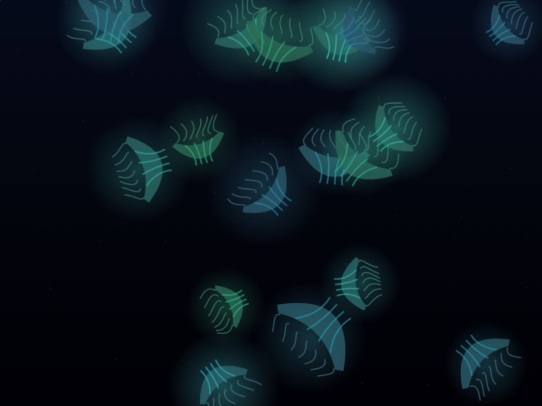 Jellyfish Colony