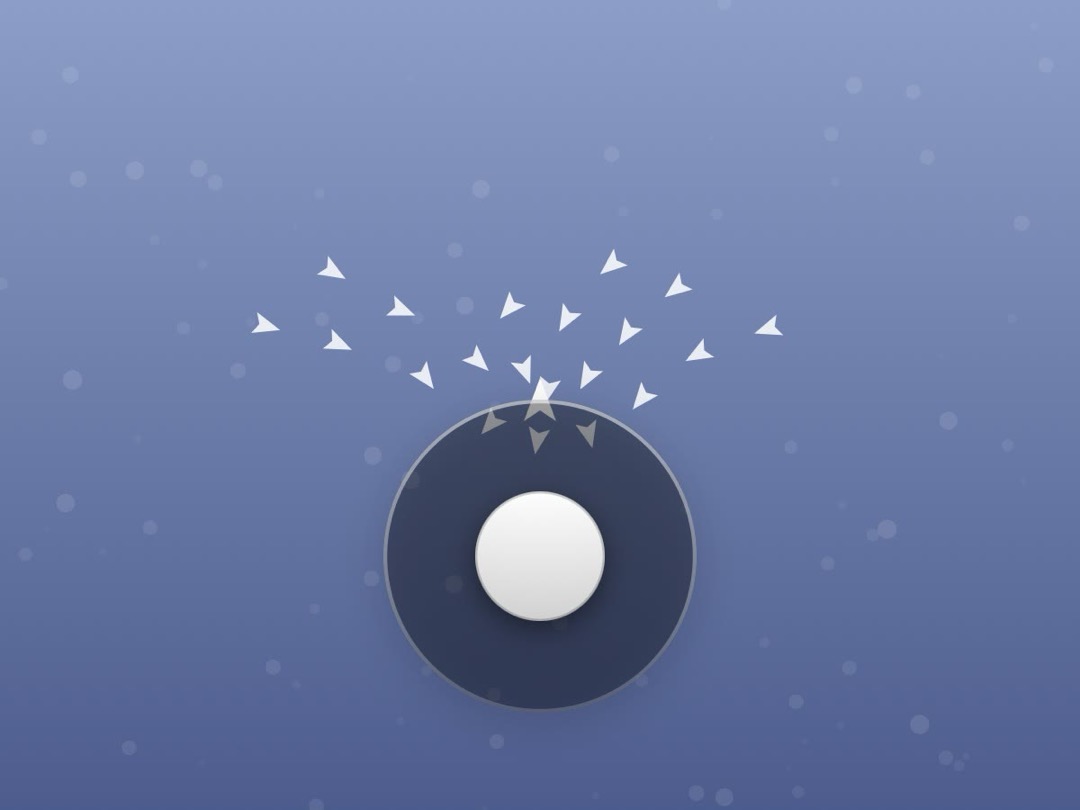 Bird Flock