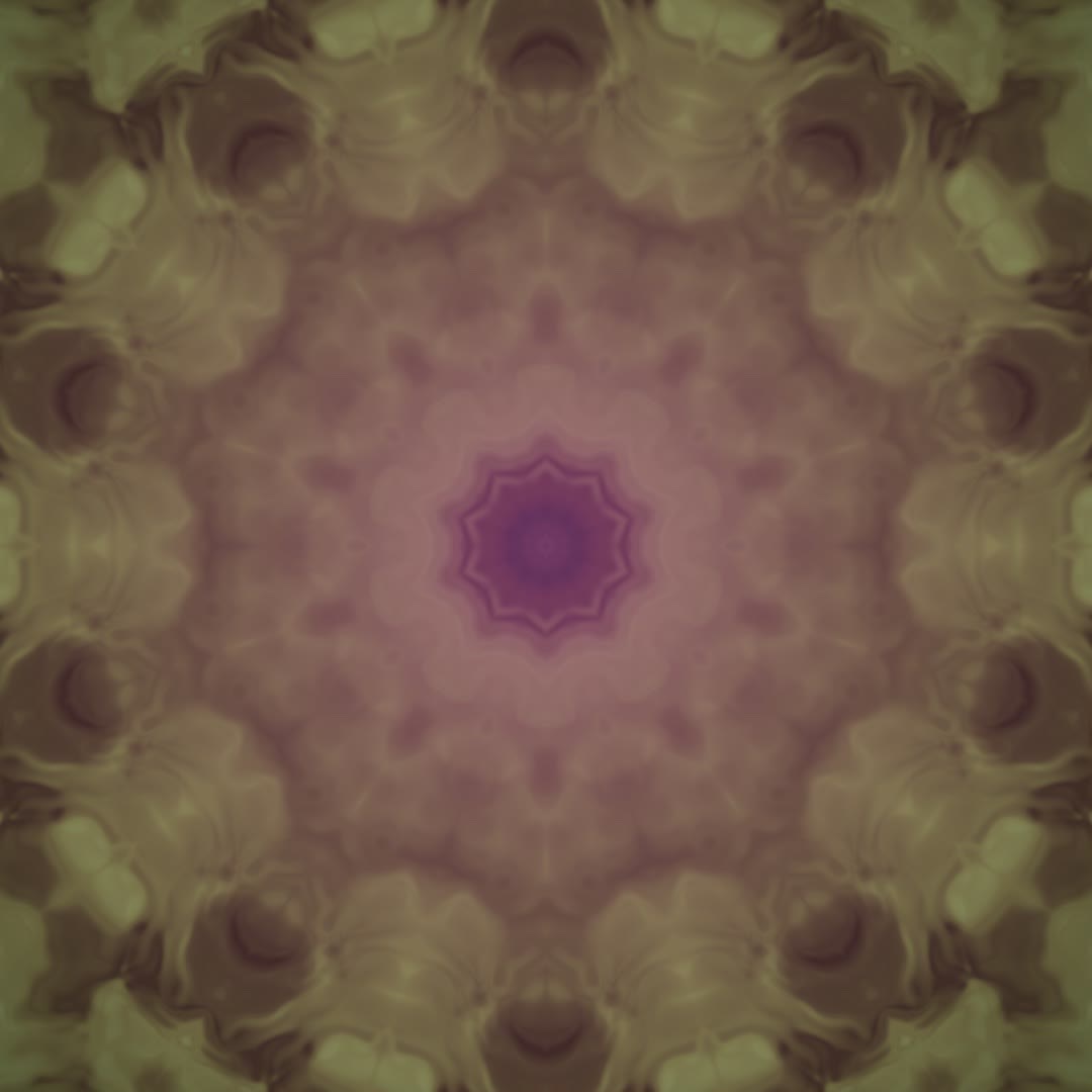 Mandala Flux