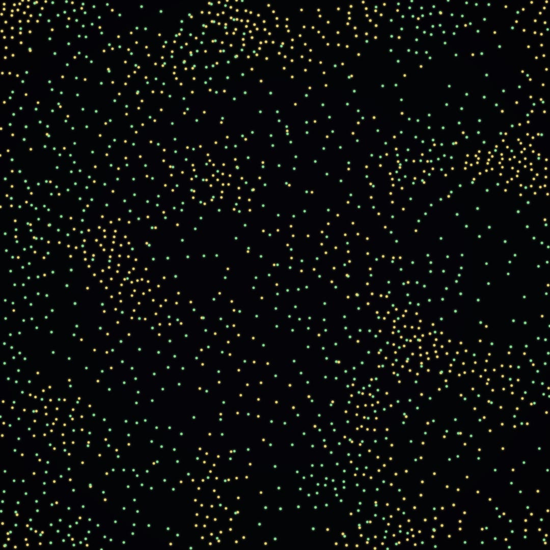 Firefly Swarm