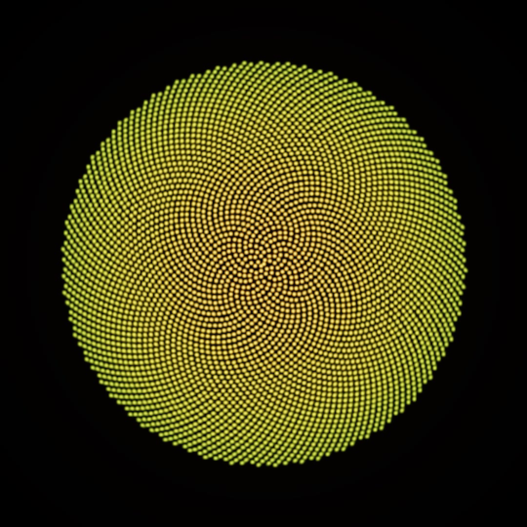 Phyllotaxis