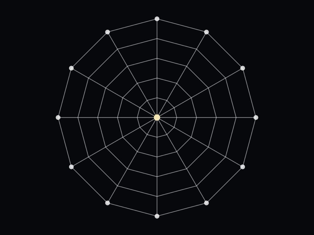 Spider Web