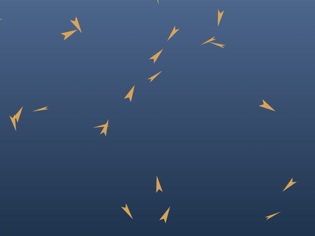 Geese V