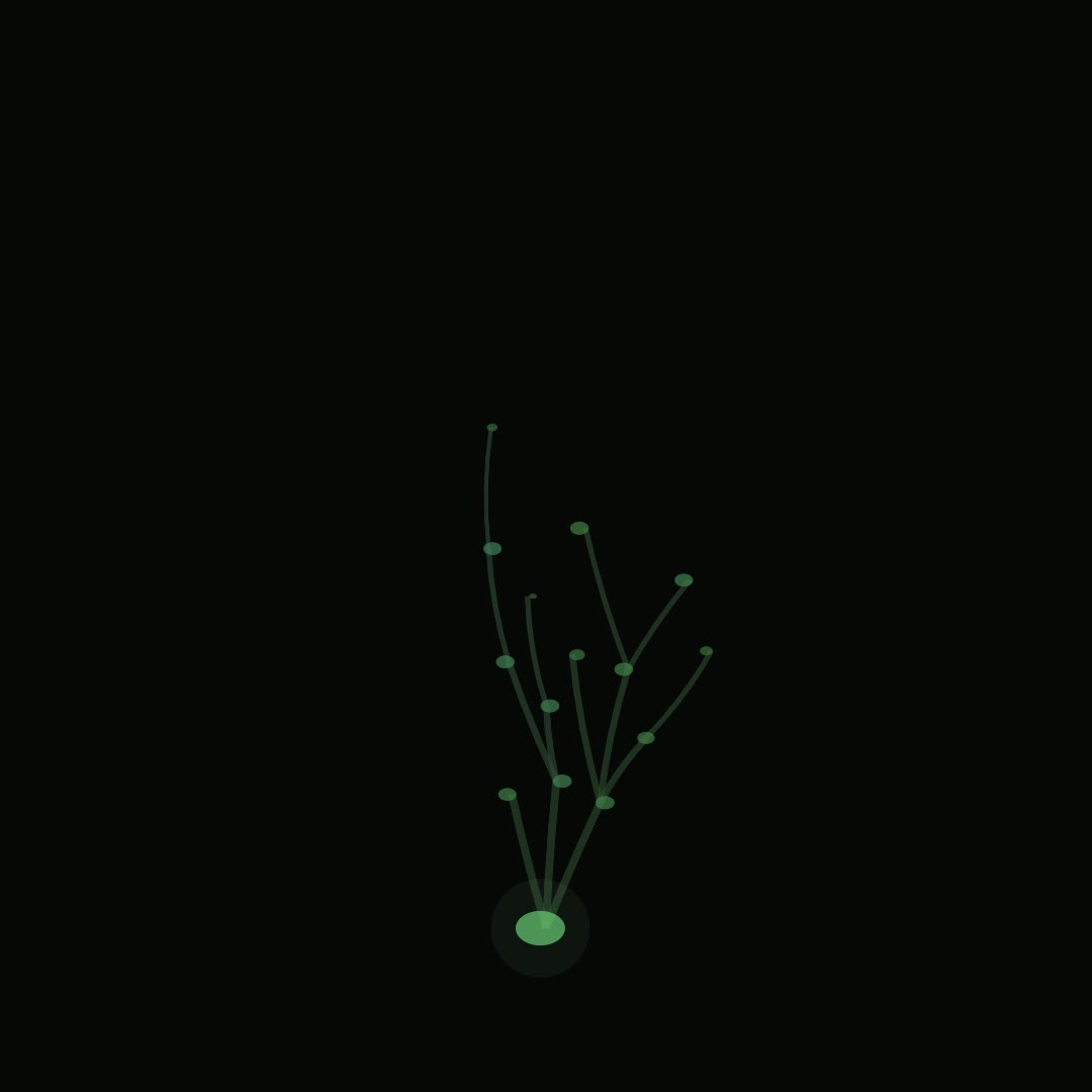 Symbiotic Growth
