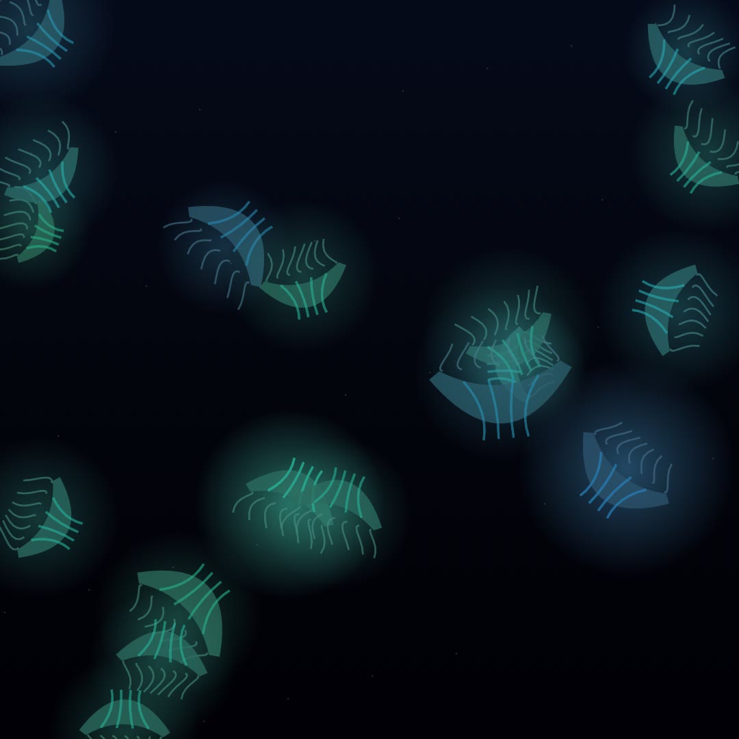 Jellyfish Colony