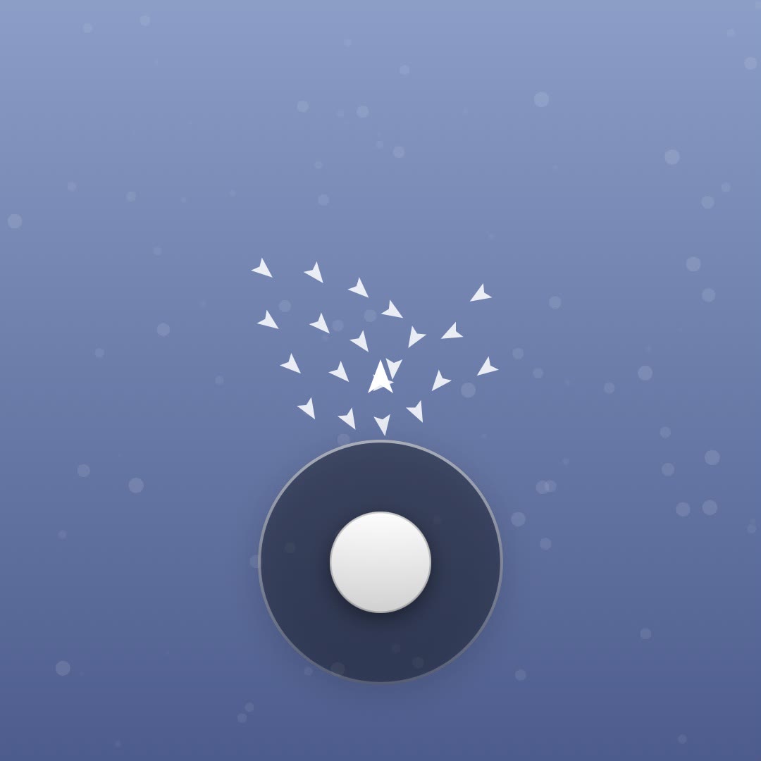 Bird Flock
