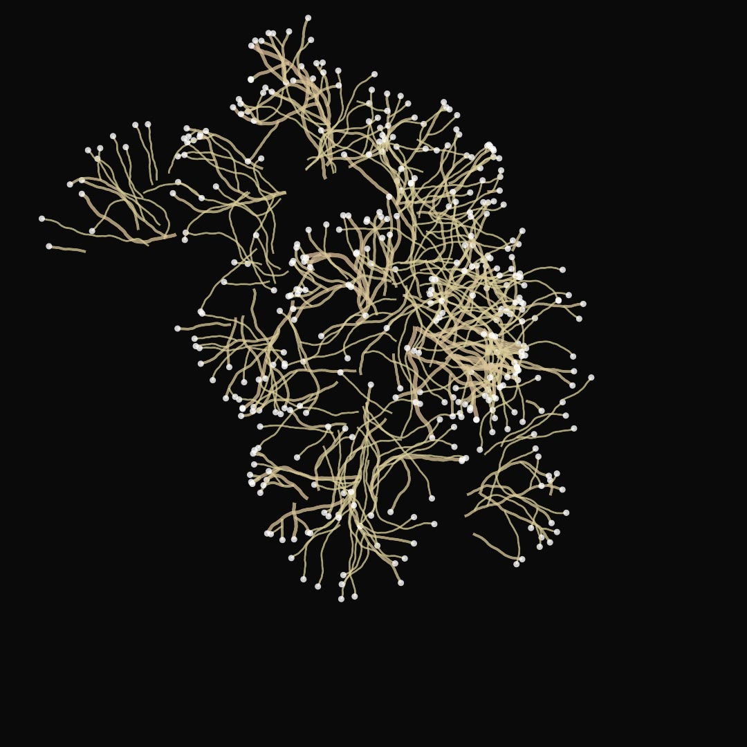 Mycelium Network